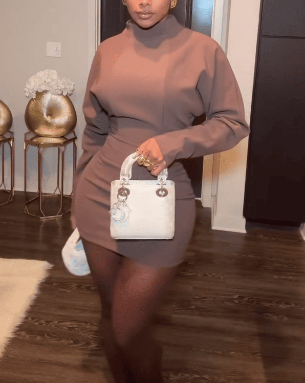 Long-Sleeve Mock Neck Plain Mini Dress