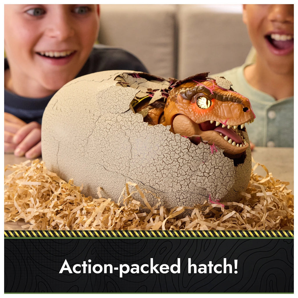 Hatchable dinosaur eggs