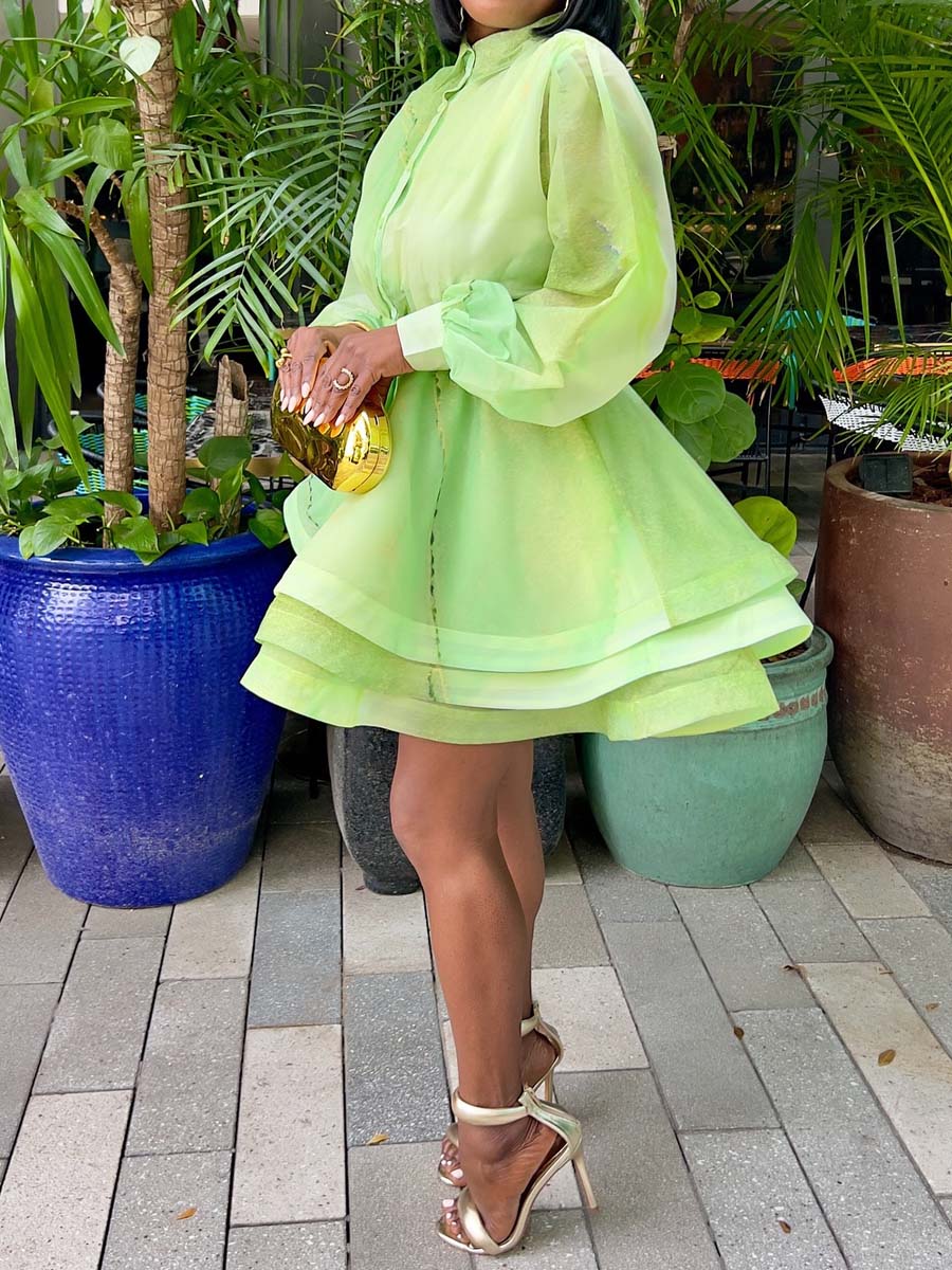 Fashion Flouced Hem Mini Dress